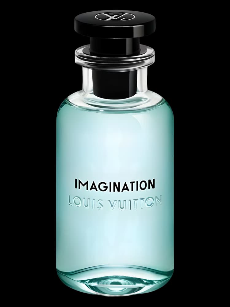 Louis Vuitton Imagination