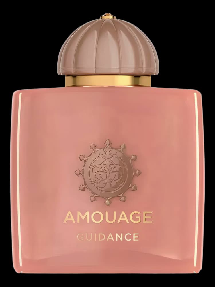 Amouage Guidance